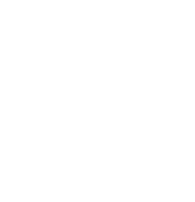 DMC Dental logo